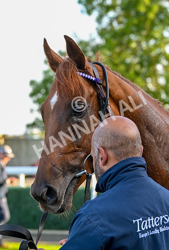 180924-Race 8-Inappropriate-5446 - Race 8