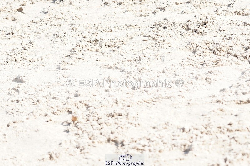 250420A-095544-00176 - Cls 02 70cm