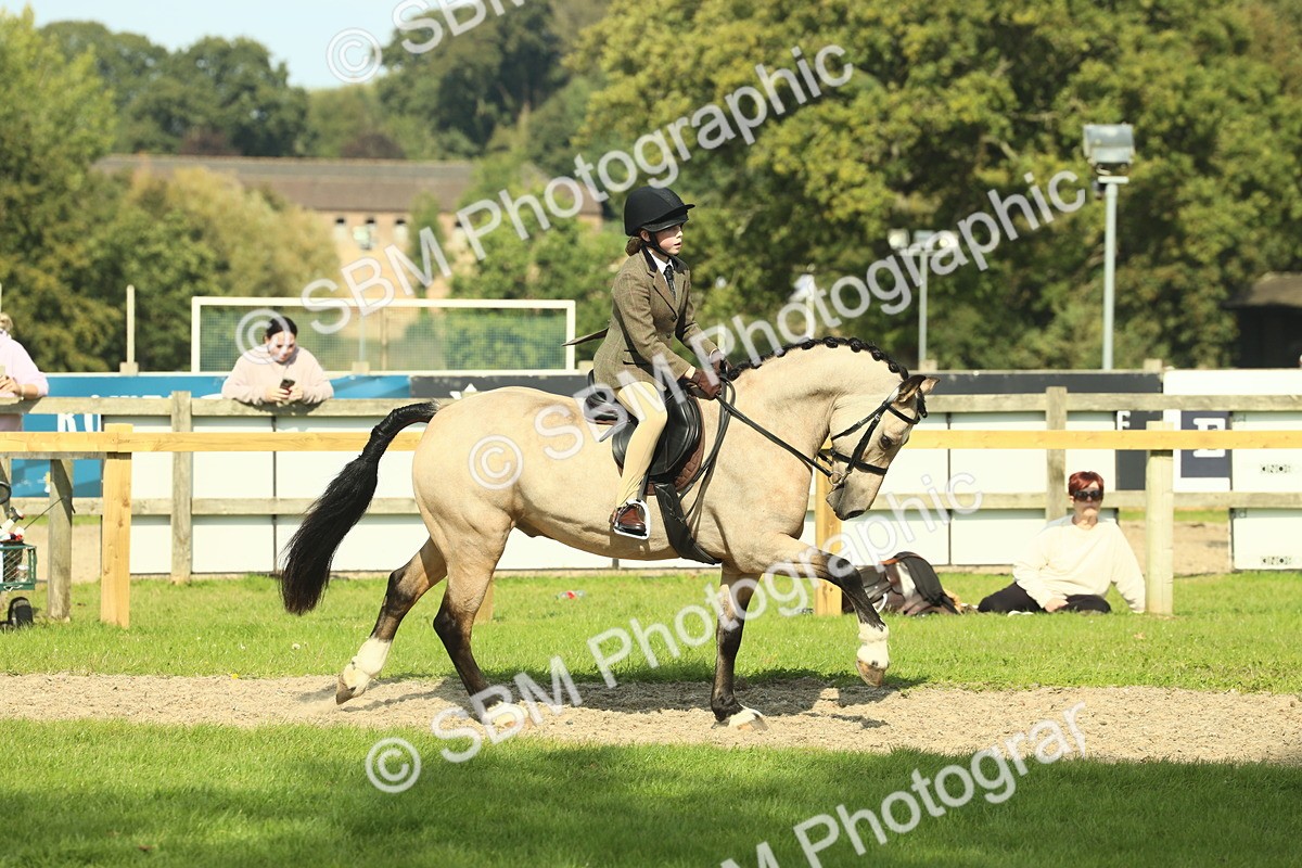 SBM_67635 - S56 - Coloured Pony Ridden