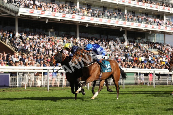 yr19082022r7-29 - Race 7 5.20pm Sky Bet Mile Stakes