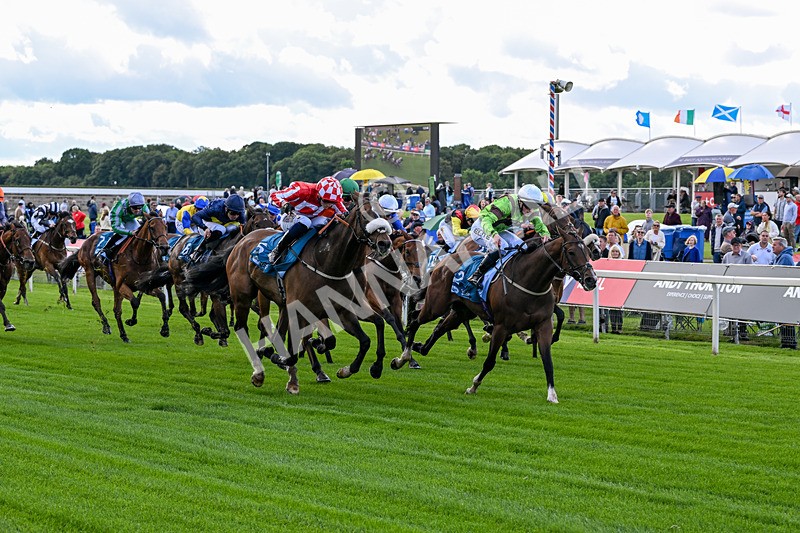 120626-Race 1-Our Havana-6614 - Race 1 13.50pm Andy Thornton Hospitality Furniture Apprentice Handicap