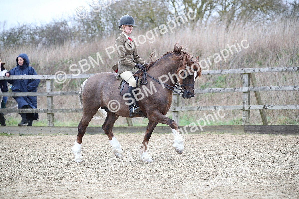 SBM_006300 - Class 10-13 - RIHS Small Large Breeds