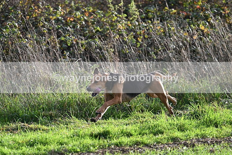 WJ7_3476 - Camera A