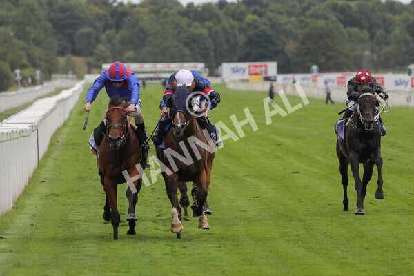 yr23072022r3-18 - Race 3 3.15pm Sky Bet York Stakes