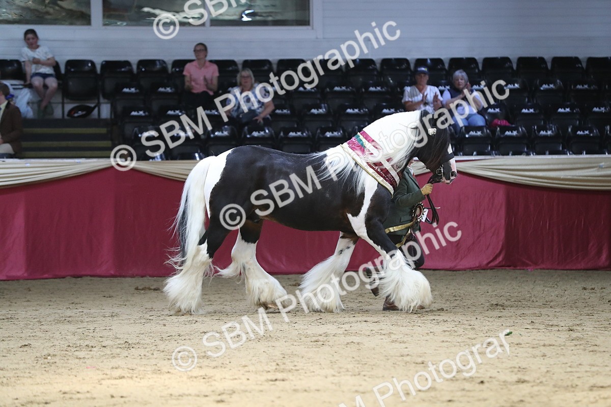 SBM_06602 - Regional IH Champ