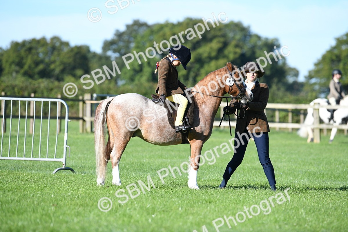 SBM_35330 - S17 - Condition & Turnout - Lead Rein