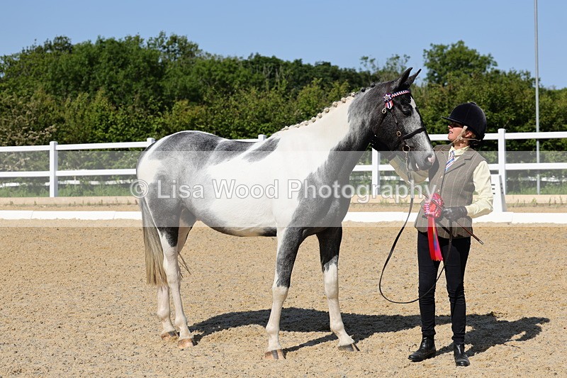 1X9A0810 - Class 4: Youngstock 1, 2, 3 year old to exceed 153cm