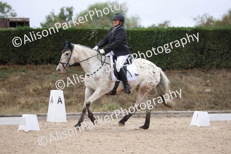 20250820-0296 - Class 9 - My Quest Prelim 3