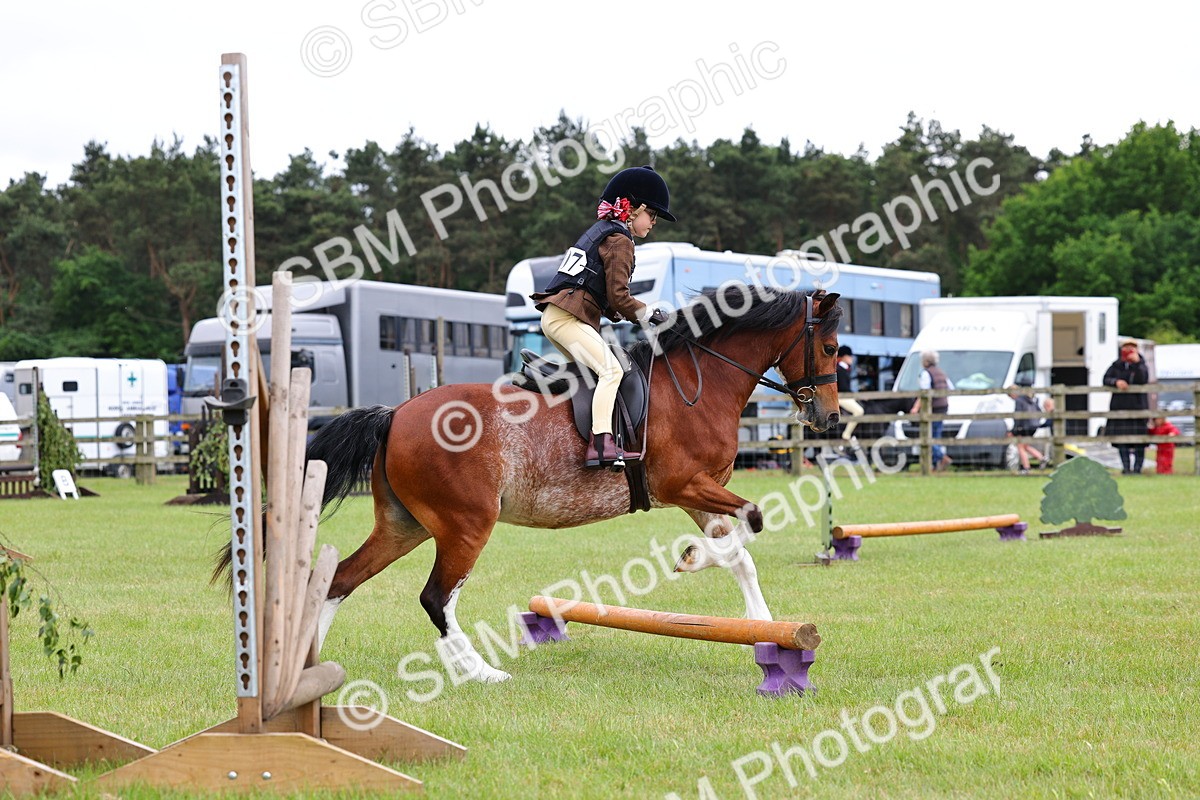 SBM_08774 - Class 42-43 - LIHS BSPS Heritage Working Sports Pony