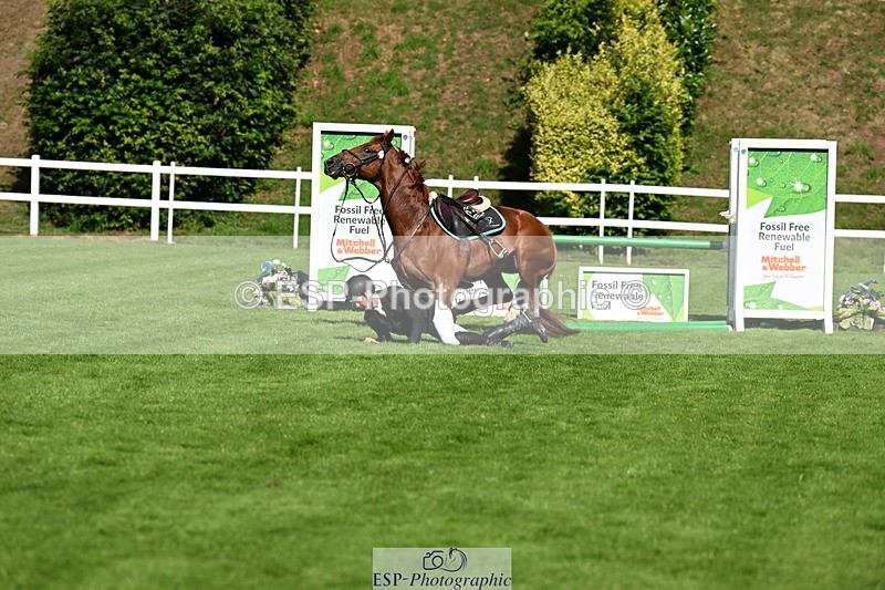 250703A-093538-02239 - Cls 1 Snr Foxhunter