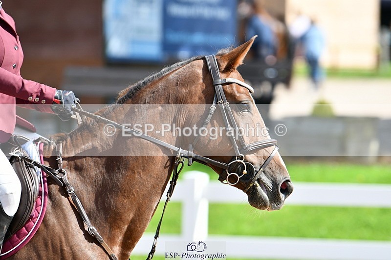 240913A-123152-04114 - Cls 22 85cm Amateur Qualifier