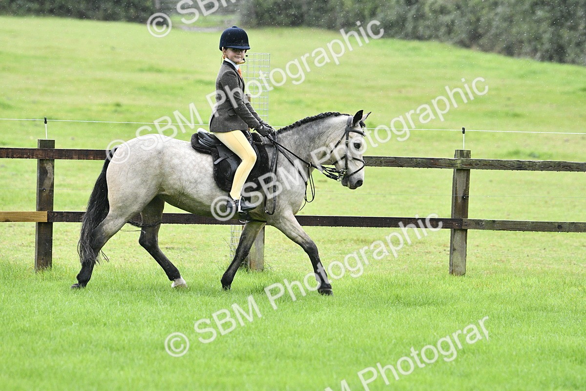 SBM_35535 - S30 - Nursery Stakes Working Hunter Pony