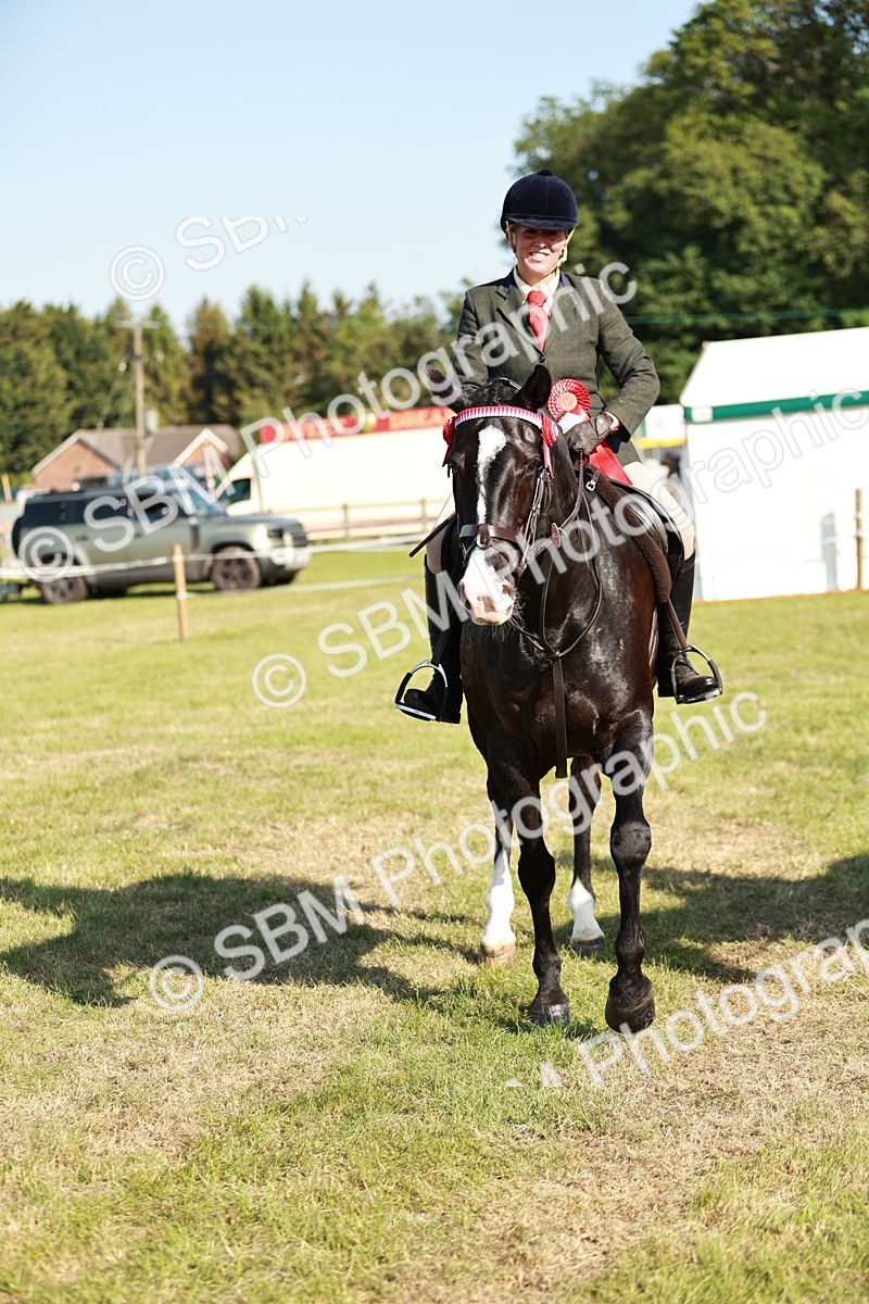 SBM_19325 - Class 115-116 - LIHS BSHA Rising Star Working Hunter & Show Horse