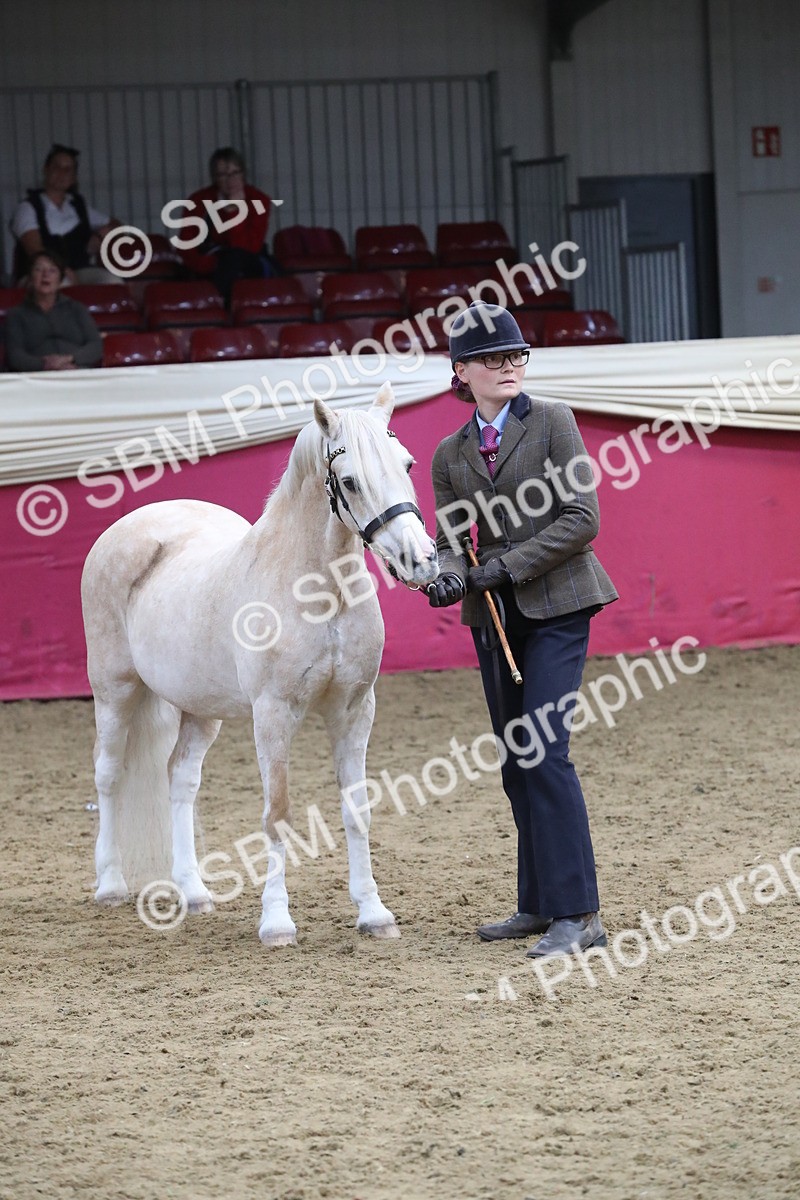 SBM_17200 - M&M Supreme Final Champ