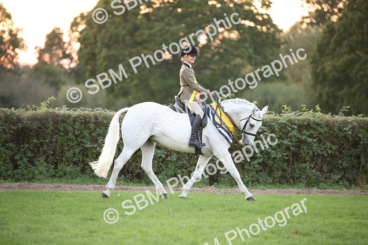 SBM_57125 - Super Supreme Championship