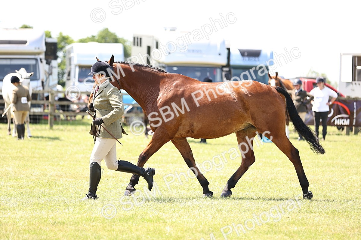 SBM_15189 - Class 79-80 - LIHS BSHA Rising Star Ridden Hunter