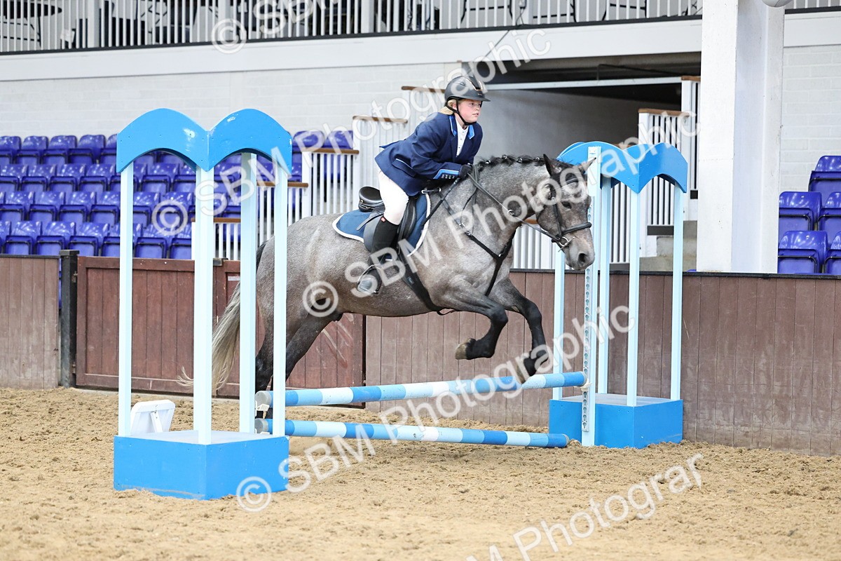 SBM_007326 - Class 2 - 50cm showjumping