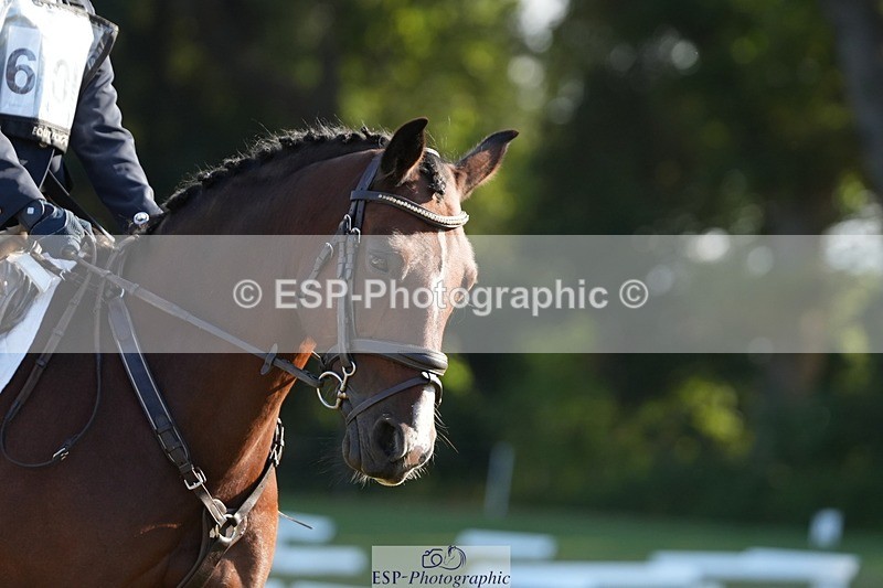 250823A-085236-25382 - Arena B