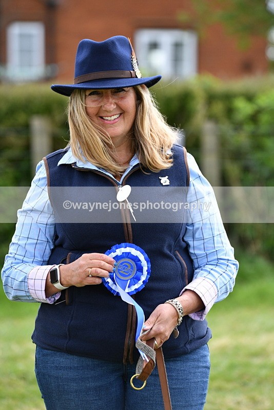 WJ5_0207 - Class 5 Best Veteran / 7 years & over