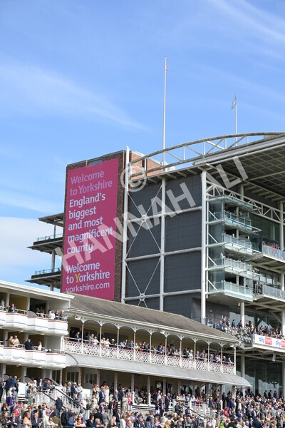 yr18082021r5-37 - Race 5 4.10pm Sky Bet Stakes