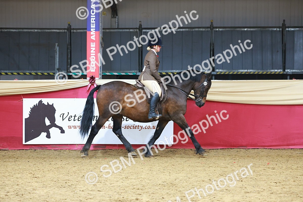SBM_10509 - Class 103 - HOYS Veteran Qualifier - Ridden Pre Vet