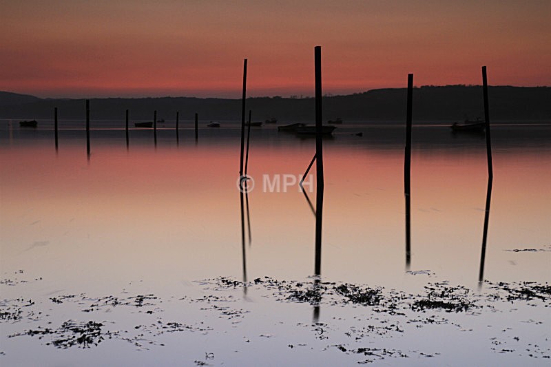 207 - Gallery 2
