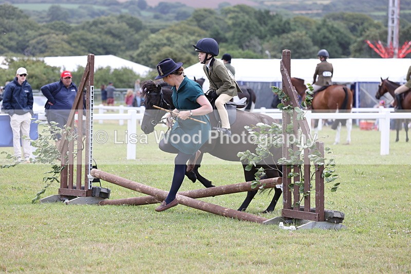 JPP_1784 - Class 18: Tiny Tots Working Hunter Pony