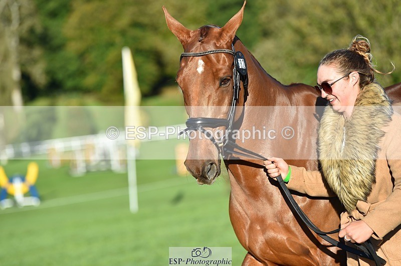 231022-093012-21836 - 682-DOOLIN.DE.REVE-Jasmine.Holmes-TrotUp+SJ