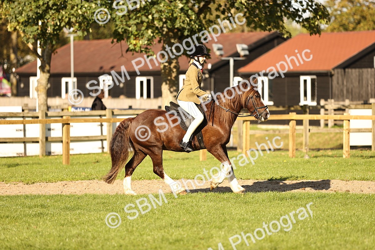 SBM_29394 - S7 - Novice & Newcomers Ridden Pony