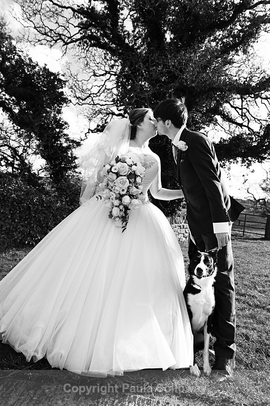 CT283 - Wedding Portfolio