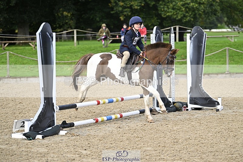 251005A-091341-02998 - Cls 02 GR 50cm