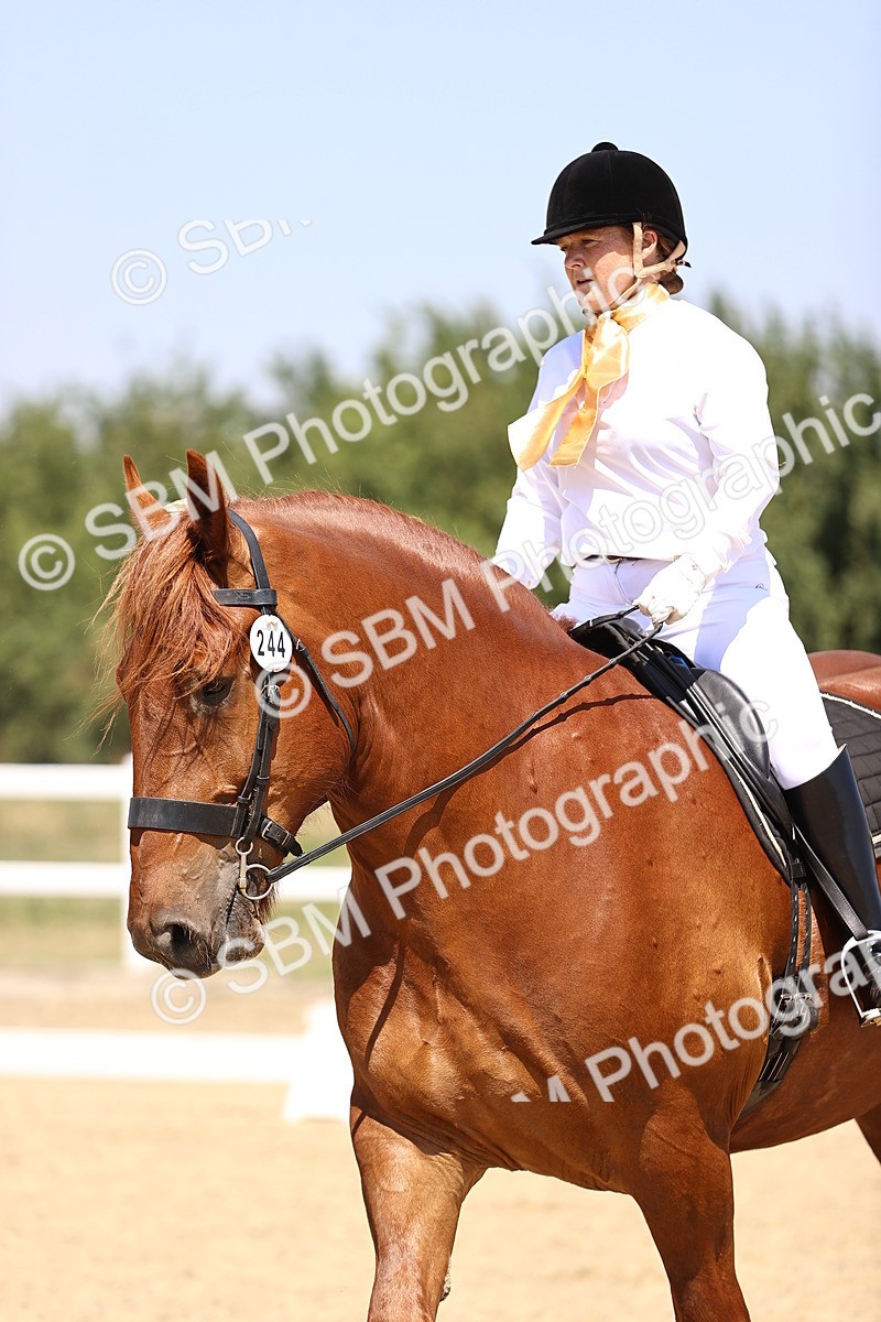 SBM_004132 - Intro 2