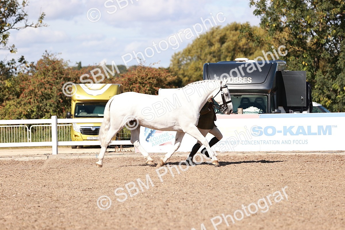 SBM_13282 - class 406 - IH Hunter