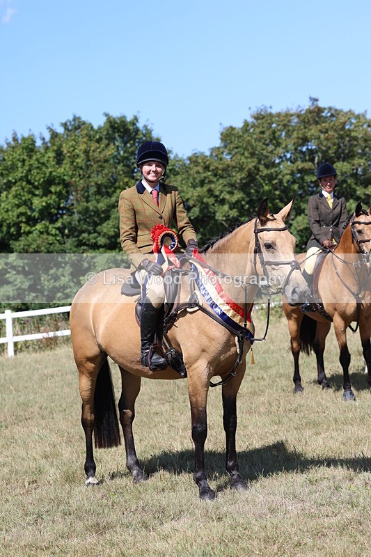 3E7A6467 - Working Hunter Championship