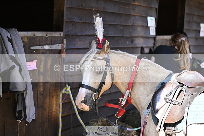 240728B-093532-00065 - Sunday Stable Shots and Fancy Dress