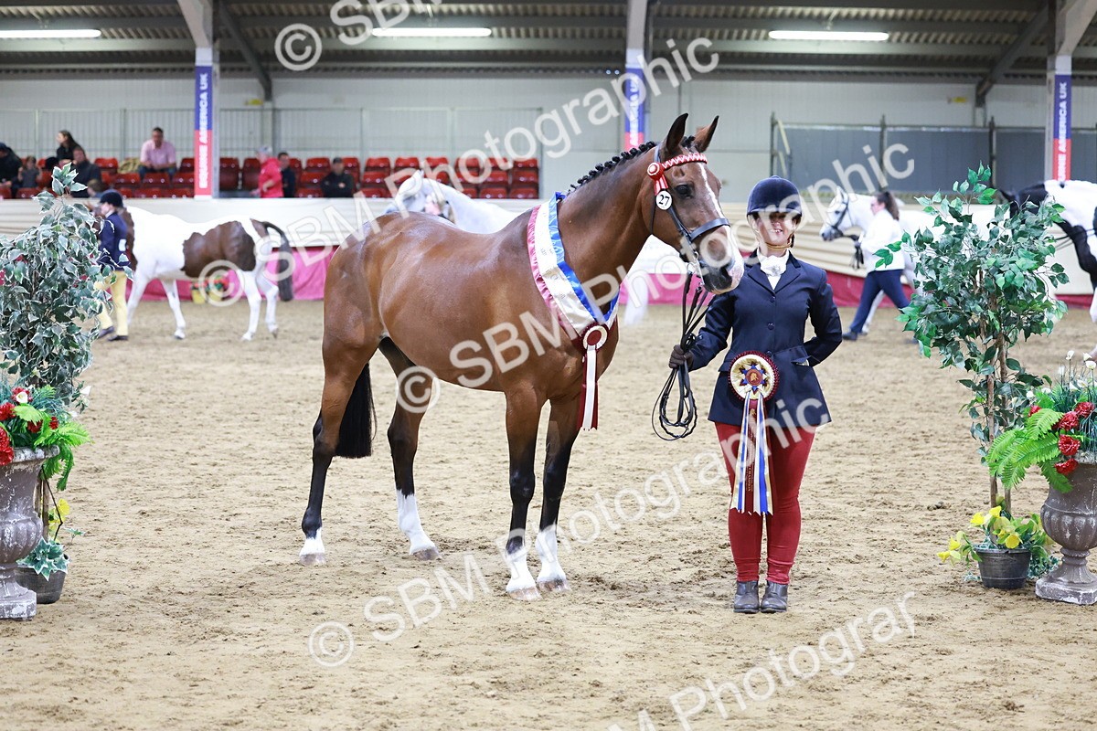 SBM_20147 - Class C - Novalty Champ