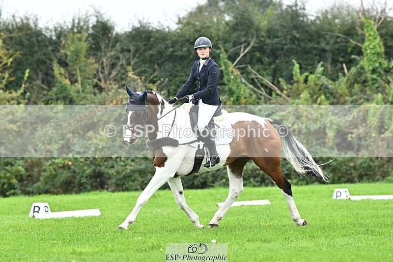 241024-135633-04253 - 331-Amber.Williams-COSMIC.MIKADO