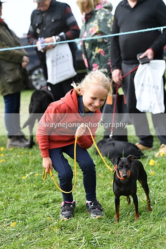 WJ5_0569 - Class 7 Best Terrier