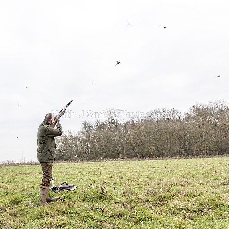 0SKJ9463 - Elton Hall Estate. Shoot day.