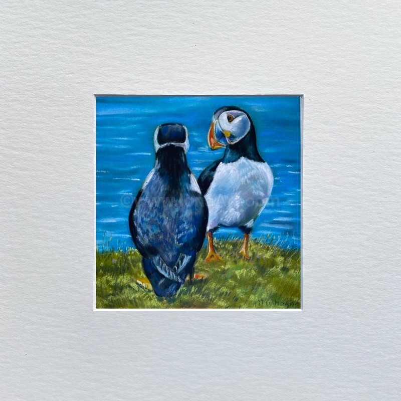 Puffin Friends - Nature