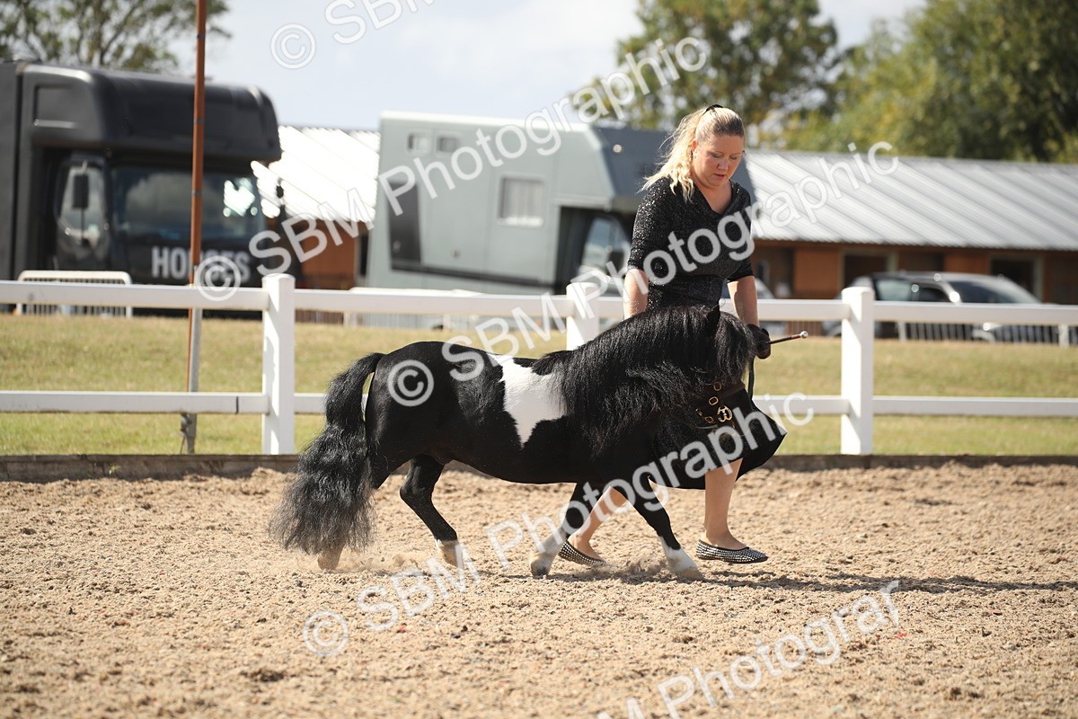 SBM_23104 - Class 606 - 2026 - Area - IH Pre Vet