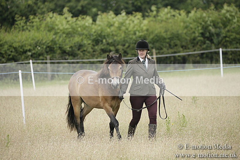 B230619-0047 - Bourne Valley Riding Club Summer Show 23/06/19