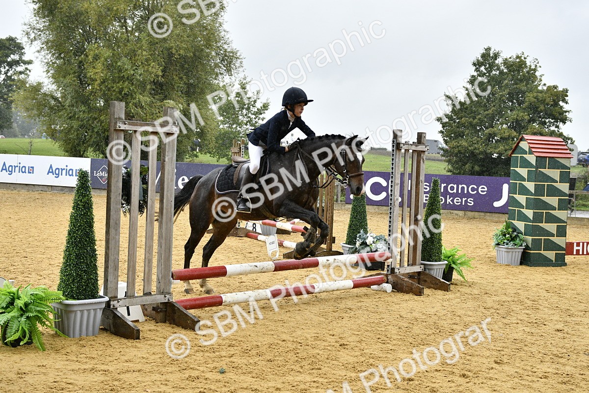 SBM_70794 - J3 - Mini Tour Junior Pony 40cm championship