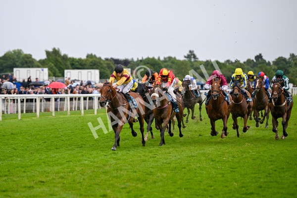 150624-Race 6-Pisanello-7982 - Race 6 4.45pm Ice Co Supporting Macmillan Handicap