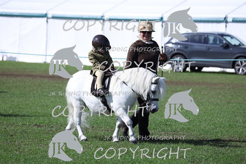 APP_3806 - Class 13 Lead rein