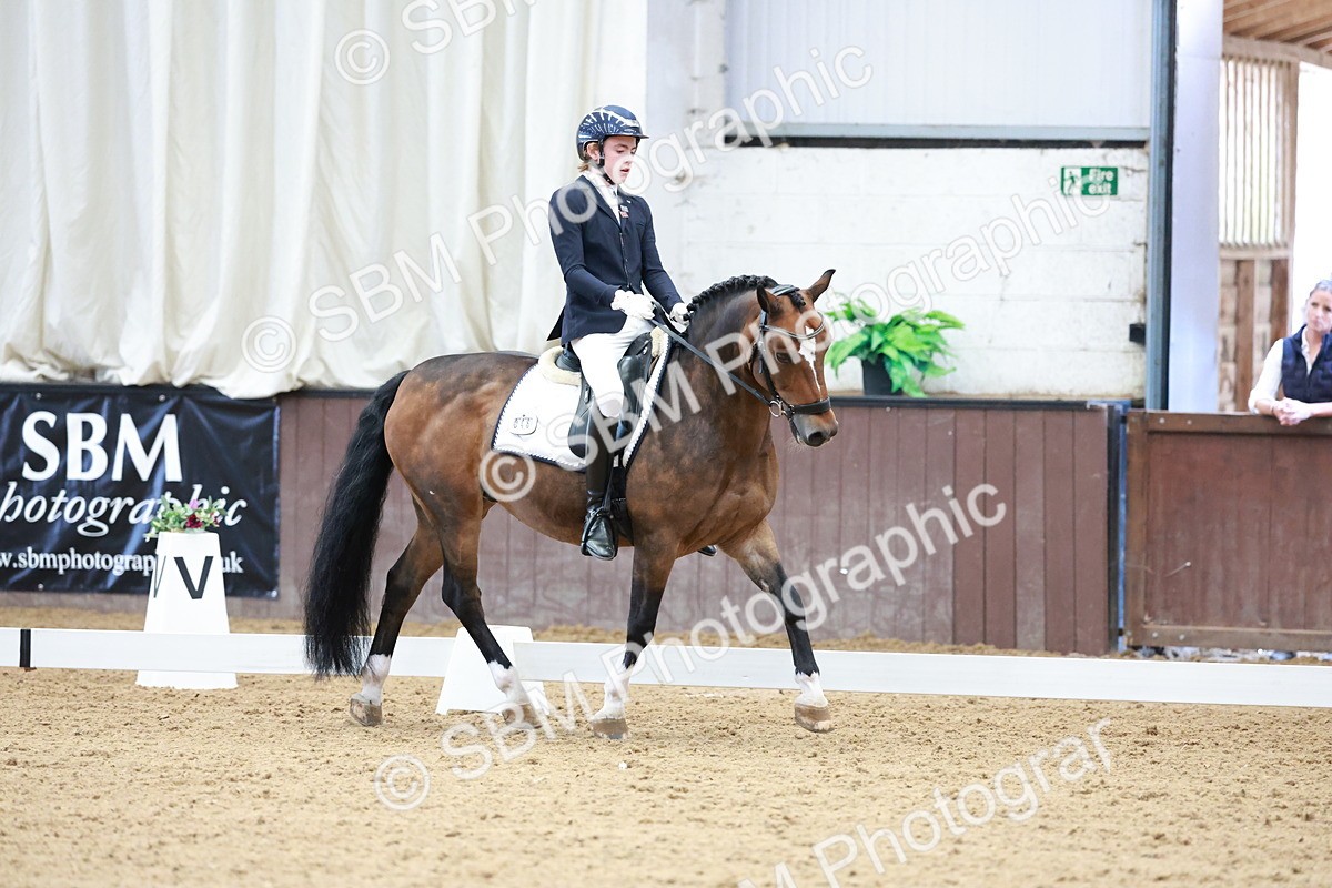 SBM_017144 - Class15 - FEI Pony