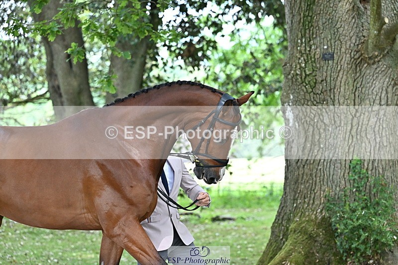 250521A-151223-00338 - B-318-Alexander.Bragg-SHANNONDALE.CONNOR