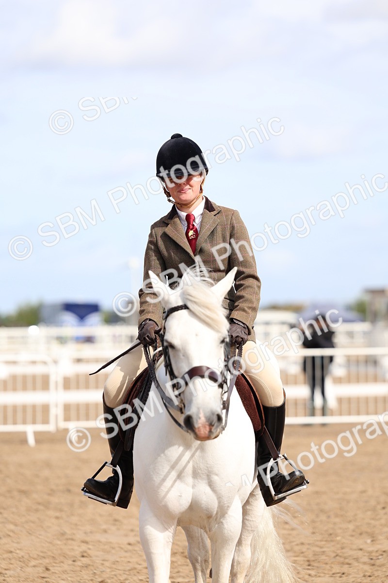 SBM_02384 - Class 19 - Horse or Pony Judge would most like to take home