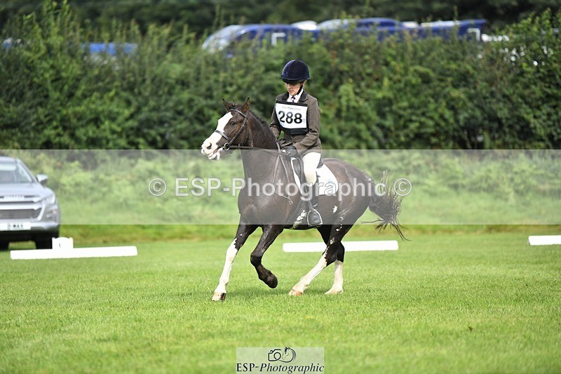 230826-100451-15355 - Sections C & D 9 to 10am