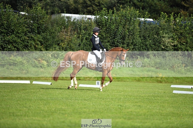 230826-093330-15143 - Sections C & D 9 to 10am